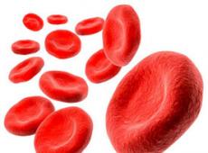 Tes darah umum: indikator, norma, persiapan